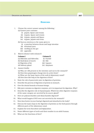 DIGESTION AND ABSORPTION 267
EXERCISES
1. Choose the correct answer among the following :
(a) Gastric juice contains
(i) pepsin, lipase and rennin
(ii) trypsin, lipase and rennin
(iii) trypsin, pepsin and lipase
(iv) trypsin, pepsin and renin
(b) Succus entericus is the name given to
(i) a junction between ileum and large intestine
(ii) intestinal juice
(iii) swelling in the gut
(iv) appendix
2. Match column I with column II
Column I Column II
(a) Bilirubin and biliverdin (i) Parotid
(b) Hydrolysis of starch (ii) Bile
(c) Digestion of fat (iii) Lipases
(d) Salivary gland (iv) Amylases
3. Answer briefly:
(a) Why are villi present in the intestine and not in the stomach?
(b) How does pepsinogen change into its active form?
(c) What are the basic layers of the wall of alimentary canal?
(d) How does bile help in the digestion of fats?
4. State the role of pancreatic juice in digestion of proteins.
5. Describe the process of digestion of protein in stomach.
6. Give the dental formula of human beings.
7. Bile juice contains no digestive enzymes, yet it is important for digestion. Why?
8. Describe the digestive role of chymotrypsin. Which two other digestive enzymes
of the same category are secreted by its source gland?
9. How are polysaccharides and disaccharides digested?
10. What would happen if HCl were not secreted in the stomach?
11. How does butter in your food get digested and absorbed in the body?
12. Discuss the main steps in the digestion of proteins as the food passes through
different parts of the alimentary canal.
13. Explain the term thecodont and diphyodont.
14. Name different types of teeth and their number in an adult human.
15. What are the functions of liver?
 