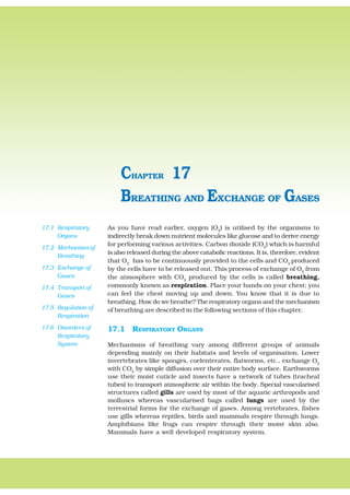 268 BIOLOGY
As you have read earlier, oxygen (O2
) is utilised by the organisms to
indirectly break down nutrient molecules like glucose and to derive energy
for performing various activities. Carbon dioxide (CO2
) which is harmful
is also released during the above catabolic reactions. It is, therefore, evident
that O2
has to be continuously provided to the cells and CO2
produced
by the cells have to be released out. This process of exchange of O2
from
the atmosphere with CO2
produced by the cells is called breathing,
commonly known as respiration. Place your hands on your chest; you
can feel the chest moving up and down. You know that it is due to
breathing. How do we breathe? The respiratory organs and the mechanism
of breathing are described in the following sections of this chapter.
17.1 RESPIRATORY ORGANS
Mechanisms of breathing vary among different groups of animals
depending mainly on their habitats and levels of organisation. Lower
invertebrates like sponges, coelenterates, flatworms, etc., exchange O2
with CO2
by simple diffusion over their entire body surface. Earthworms
use their moist cuticle and insects have a network of tubes (tracheal
tubes) to transport atmospheric air within the body. Special vascularised
structures called gills are used by most of the aquatic arthropods and
molluscs whereas vascularised bags called lungs are used by the
terrestrial forms for the exchange of gases. Among vertebrates, fishes
use gills whereas reptiles, birds and mammals respire through lungs.
Amphibians like frogs can respire through their moist skin also.
Mammals have a well developed respiratory system.
BREATHING AND EXCHANGE OF GASES
CHAPTER 17
17.1 Respiratory
Organs
17.2 Mechanism of
Breathing
17.3 Exchange of
Gases
17.4 Transport of
Gases
17.5 Regulation of
Respiration
17.6 Disorders of
Respiratory
System
 