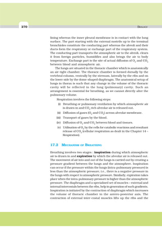 270 BIOLOGY
lining whereas the inner pleural membrane is in contact with the lung
surface. The part starting with the external nostrils up to the terminal
bronchioles constitute the conducting part whereas the alveoli and their
ducts form the respiratory or exchange part of the respiratory system.
The conducting part transports the atmospheric air to the alveoli, clears
it from foreign particles, humidifies and also brings the air to body
temperature. Exchange part is the site of actual diffusion of O2
and CO2
between blood and atmospheric air.
The lungs are situated in the thoracic chamber which is anatomically
an air-tight chamber. The thoracic chamber is formed dorsally by the
vertebral column, ventrally by the sternum, laterally by the ribs and on
the lower side by the dome-shaped diaphragm. The anatomical setup of
lungs in thorax is such that any change in the volume of the thoracic
cavity will be reflected in the lung (pulmonary) cavity. Such an
arrangement is essential for breathing, as we cannot directly alter the
pulmonary volume.
Respiration involves the following steps:
(i) Breathing or pulmonary ventilation by which atmospheric air
is drawn in and CO2
rich alveolar air is released out.
(ii) Diffusion of gases (O2
and CO2
) across alveolar membrane.
(iii) Transport of gases by the blood.
(iv) Diffusion of O2
and CO2
between blood and tissues.
(v) Utilisation of O2
by the cells for catabolic reactions and resultant
release of CO2
(cellular respiration as dealt in the Chapter 14 –
Respiration).
17.2 MECHANISM OF BREATHING
Breathing involves two stages : inspiration during which atmospheric
air is drawn in and expiration by which the alveolar air is released out.
The movement of air into and out of the lungs is carried out by creating a
pressure gradient between the lungs and the atmosphere. Inspiration
can occur if the pressure within the lungs (intra-pulmonary pressure) is
less than the atmospheric pressure, i.e., there is a negative pressure in
the lungs with respect to atmospheric pressure. Similarly, expiration takes
place when the intra-pulmonary pressure is higher than the atmospheric
pressure. The diaphragm and a specialised set of muscles – external and
internal intercostals between the ribs, help in generation of such gradients.
Inspiration is initiated by the contraction of diaphragm which increases
the volume of thoracic chamber in the antero-posterior axis. The
contraction of external inter-costal muscles lifts up the ribs and the
 