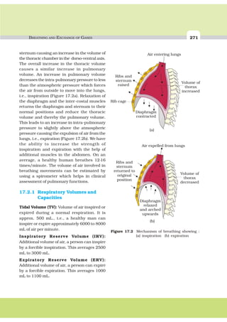 BREATHING AND EXCHANGE OF GASES 271
sternum causing an increase in the volume of
the thoracic chamber in the dorso-ventral axis.
The overall increase in the thoracic volume
causes a similar increase in pulmonary
volume. An increase in pulmonary volume
decreases the intra-pulmonary pressure to less
than the atmospheric pressure which forces
the air from outside to move into the lungs,
i.e., inspiration (Figure 17.2a). Relaxation of
the diaphragm and the inter-costal muscles
returns the diaphragm and sternum to their
normal positions and reduce the thoracic
volume and thereby the pulmonary volume.
This leads to an increase in intra-pulmonary
pressure to slightly above the atmospheric
pressure causing the expulsion of air from the
lungs, i.e., expiration (Figure 17.2b). We have
the ability to increase the strength of
inspiration and expiration with the help of
additional muscles in the abdomen. On an
average, a healthy human breathes 12-16
times/minute. The volume of air involved in
breathing movements can be estimated by
using a spirometer which helps in clinical
assessment of pulmonary functions.
17.2.1 Respiratory Volumes and
Capacities
Tidal Volume (TV): Volume of air inspired or
expired during a normal respiration. It is
approx. 500 mL., i.e., a healthy man can
inspire or expire approximately 6000 to 8000
mL of air per minute.
Inspiratory Reserve Volume (IRV):
Additional volume of air, a person can inspire
by a forcible inspiration. This averages 2500
mL to 3000 mL.
Expiratory Reserve Volume (ERV):
Additional volume of air, a person can expire
by a forcible expiration. This averages 1000
mL to 1100 mL.
Figure 17.2 Mechanism of breathing showing :
(a) inspiration (b) expiration
 