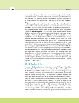 284 BIOLOGY
pulmonary artery and the aorta respectively are provided with the
semilunar valves. The valves in the heart allows the flow of blood only in
one direction, i.e., from the atria to the ventricles and from the ventricles
to the pulmonary artery or aorta. These valves prevent any backward
flow.
The entire heart is made of cardiac muscles. The walls of ventricles
are much thicker than that of the atria. A specialised cardiac musculature
called the nodal tissue is also distributed in the heart (Figure 18.2). A
patch of this tissue is present in the right upper corner of the right atrium
called the sino-atrial node (SAN). Another mass of this tissue is seen in
the lower left corner of the right atrium close to the atrio-ventricular septum
called the atrio-ventricular node (AVN). A bundle of nodal fibres, atrio-
ventricular bundle (AV bundle) continues from the AVN which passes
through the atrio-ventricular septa to emerge on the top of the inter-
ventricular septum and immediately divides into a right and left bundle.
These branches give rise to minute fibres throughout the ventricular
musculature of the respective sides and are called purkinje fibres. These
fibres alongwith right and left bundles are known as bundle of HIS. The
nodal musculature has the ability to generate action potentials without
any external stimuli, i.e., it is autoexcitable. However, the number of action
potentials that could be generated in a minute vary at different parts of
the nodal system. The SAN can generate the maximum number of action
potentials, i.e., 70-75 min–1
, and is responsible for initiating and
maintaining the rhythmic contractile activity of the heart. Therefore, it is
called the pacemaker. Our heart normally beats 70-75 times in a minute
(average 72 beats min–1
).
18.3.2 Cardiac Cycle
How does the heart function? Let us take a look. To begin with, all the
four chambers of heart are in a relaxed state, i.e., they are in joint diastole.
As the tricuspid and bicuspid valves are open, blood from the pulmonary
veins and vena cava flows into the left and the right ventricle respectively
through the left and right atria. The semilunar valves are closed at this
stage. The SAN now generates an action potential which stimulates both
the atria to undergo a simultaneous contraction – the atrial systole. This
increases the flow of blood into the ventricles by about 30 per cent. The
action potential is conducted to the ventricular side by the AVN and AV
bundle from where the bundle of HIS transmits it through the entire
ventricular musculature. This causes the ventricular muscles to contract,
(ventricular systole), the atria undergoes relaxation (diastole), coinciding
with the ventricular systole. Ventricular systole increases the ventricular
 