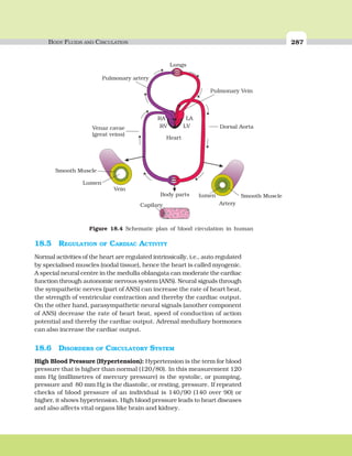 BODY FLUIDS AND CIRCULATION 287
18.5 REGULATION OF CARDIAC ACTIVITY
Normal activities of the heart are regulated intrinsically, i.e., auto regulated
by specialised muscles (nodal tissue), hence the heart is called myogenic.
A special neural centre in the medulla oblangata can moderate the cardiac
function through autonomic nervous system (ANS). Neural signals through
the sympathetic nerves (part of ANS) can increase the rate of heart beat,
the strength of ventricular contraction and thereby the cardiac output.
On the other hand, parasympathetic neural signals (another component
of ANS) decrease the rate of heart beat, speed of conduction of action
potential and thereby the cardiac output. Adrenal medullary hormones
can also increase the cardiac output.
18.6 DISORDERS OF CIRCULATORY SYSTEM
High Blood Pressure (Hypertension): Hypertension is the term for blood
pressure that is higher than normal (120/80). In this measurement 120
mm Hg (millimetres of mercury pressure) is the systolic, or pumping,
pressure and 80 mm Hg is the diastolic, or resting, pressure. If repeated
checks of blood pressure of an individual is 140/90 (140 over 90) or
higher, it shows hypertension. High blood pressure leads to heart diseases
and also affects vital organs like brain and kidney.
Figure 18.4 Schematic plan of blood circulation in human
 