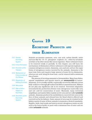 290 BIOLOGY
Animals accumulate ammonia, urea, uric acid, carbon dioxide, water
and ions like Na+
, K+
, Cl–
, phosphate, sulphate, etc., either by metabolic
activities or by other means like excess ingestion. These substances have
to be removed totally or partially. In this chapter, you will learn the
mechanisms of elimination of these substances with special emphasis on
common nitrogenous wastes. Ammonia, urea and uric acid are the major
forms of nitrogenous wastes excreted by the animals. Ammonia is the
most toxic form and requires large amount of water for its elimination,
whereas uric acid, being the least toxic, can be removed with a minimum
loss of water.
The process of excreting ammonia is Ammonotelism. Many bony fishes,
aquatic amphibians and aquatic insects are ammonotelic in nature.
Ammonia, as it is readily soluble, is generally excreted by diffusion across
body surfaces or through gill surfaces (in fish) as ammonium ions. Kidneys
do not play any significant role in its removal. Terrestrial adaptation
necessitated the production of lesser toxic nitrogenous wastes like urea
and uric acid for conservation of water. Mammals, many terrestrial
amphibians and marine fishes mainly excrete urea and are called ureotelic
animals. Ammonia produced by metabolism is converted into urea in the
liver of these animals and released into the blood which is filtered and
excreted out by the kidneys. Some amount of urea may be retained in the
kidney matrix of some of these animals to maintain a desired osmolarity.
Reptiles, birds, land snails and insects excrete nitrogenous wastes as uric
acid in the form of pellet or paste with a minimum loss of water and are
called uricotelic animals.
EXCRETORY PRODUCTS AND
THEIR ELIMINATION
CHAPTER 19
19.1 Human
Excretory
System
19.2 Urine Formation
19.3 Function of the
Tubules
19.4 Mechanism of
Concentration of
the Filtrate
19.5 Regulation of
Kidney Function
19.6 Micturition
19.7 Role of other
Organs in
Excretion
19.8 Disorders of the
Excretory
System
 