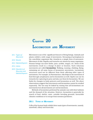 302 BIOLOGY
Movement is one of the significant features of living beings. Animals and
plants exhibit a wide range of movements. Streaming of protoplasm in
the unicellular organisms like Amoeba is a simple form of movement.
Movement of cilia, flagella and tentacles are shown by many organisms.
Human beings can move limbs, jaws, eyelids, tongue, etc. Some of the
movements result in a change of place or location. Such voluntary
movements are called locomotion. Walking, running, climbing, flying,
swimming are all some forms of locomotory movements. Locomotory
structures need not be different from those affecting other types of
movements. For example, in Paramoecium, cilia helps in the movement of
food through cytopharynx and in locomotion as well. Hydra can use its
tentacles for capturing its prey and also use them for locomotion. We use
limbs for changes in body postures and locomotion as well. The above
observations suggest that movements and locomotion cannot be studied
separately. The two may be linked by stating that all locomotions are
movements but all movements are not locomotions.
Methods of locomotion performed by animals vary with their habitats
and the demand of the situation. However, locomotion is generally for
search of food, shelter, mate, suitable breeding grounds, favourable
climatic conditions or to escape from enemies/predators.
20.1 TYPES OF MOVEMENT
Cells of the human body exhibit three main types of movements, namely,
amoeboid, ciliary and muscular.
LOCOMOTION AND MOVEMENT
CHAPTER 20
20.1 Types of
Movement
20.2 Muscle
20.3 Skeletal System
20.4 Joints
20.5 Disorders of
Muscular and
Skeletal System
 