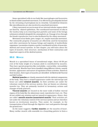 LOCOMOTION AND MOVEMENT 303
Some specialised cells in our body like macrophages and leucocytes
in blood exhibit amoeboid movement. It is effected by pseudopodia formed
by the streaming of protoplasm (as in Amoeba). Cytoskeletal elements
like microfilaments are also involved in amoeboid movement.
Ciliary movement occurs in most of our internal tubular organs which
are lined by ciliated epithelium. The coordinated movements of cilia in
the trachea help us in removing dust particles and some of the foreign
substances inhaled alongwith the atmospheric air. Passage of ova through
the female reproductive tract is also facilitated by the ciliary movement.
Movement of our limbs, jaws, tongue, etc, require muscular movement.
The contractile property of muscles are effectively used for locomotion
and other movements by human beings and majority of multicellular
organisms. Locomotion requires a perfect coordinated activity of muscular,
skeletal and neural systems. In this chapter, you will learn about the
types of muscles, their structure, mechanism of their contraction and
important aspects of the skeletal system.
20.2 MUSCLE
Muscle is a specialised tissue of mesodermal origin. About 40-50 per
cent of the body weight of a human adult is contributed by muscles.
They have special properties like excitability, contractility, extensibility
and elasticity. Muscles have been classified using different criteria, namely
location, appearance and nature of regulation of their activities. Based on
their location, three types of muscles are identified : (i) Skeletal (ii) Visceral
and (iii) Cardiac.
Skeletal muscles are closely associated with the skeletal components
of the body. They have a striped appearance under the microscope and
hence are called striated muscles. As their activities are under the
voluntary control of the nervous system, they are known as voluntary
muscles too. They are primarily involved in locomotory actions and
changes of body postures.
Visceral muscles are located in the inner walls of hollow visceral
organs of the body like the alimentary canal, reproductive tract, etc. They
do not exhibit any striation and are smooth in appearance. Hence, they
are called smooth muscles (nonstriated muscle). Their activities are
not under the voluntary control of the nervous system and are therefore
known as involuntary muscles. They assist, for example, in the
transportation of food through the digestive tract and gametes through
the genital tract.
As the name suggests, Cardiac muscles are the muscles of heart.
Many cardiac muscle cells assemble in a branching pattern to form a
 