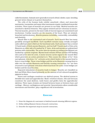LOCOMOTION AND MOVEMENT 313
called locomotion. Animals move generally in search of food, shelter, mate, breeding
ground, better climate or to protect themselves.
The cells of the human body exhibit amoeboid, ciliary and muscular
movements. Locomotion and many other movements require coordinated muscular
activities. Three types of muscles are present in our body. Skeletal muscles are
attached to skeletal elements. They appear striated and are voluntary in nature.
Visceral muscles, present in the inner walls of visceral organs are nonstriated and
involuntary. Cardiac muscles are the muscles of the heart. They are striated,
branched and involuntary. Muscles possess excitability, contractility, extensibility
and elasticity.
Muscle fibre is the anatomical unit of muscle. Each muscle fibre has many
parallelly arranged myofibrils. Each myofibril contains many serially arranged
units called sarcomere which are the functional units. Each sarcomere has a central
‘A’ band made of thick myosin filaments, and two half ‘I’ bands made of thin actin
filaments on either side of it marked by ‘Z’ lines. Actin and myosin are polymerised
proteins with contractility. The active sites for myosin on resting actin filament are
masked by a protein-troponin. Myosin head contains ATPase and has ATP binding
sites and active sites for actin. A motor neuron carries signal to the muscle fibre
which generates an action potential in it. This causes the release of Ca++
from
sarcoplasmic reticulum. Ca++
activates actin which binds to the myosin head to
form a cross bridge. These cross bridges pull the actin filaments causing them to
slide over the myosin filaments and thereby causing contraction. Ca++
are then
returned to sarcoplasmic reticulum which inactivate the actin. Cross bridges are
broken and the muscles relax.
Repeated stimulation of muscles leads to fatigue. Muscles are classified as
Red and White fibres based primarily on the amount of red coloured myoglobin
pigment in them.
Bones and cartilages constitute our skeletal system. The skeletal system is
divisible into axial and appendicular. Skull, vertebral column, ribs and sternum
constitute the axial skeleton. Limb bones and girdles form the appendicular
skeleton. Three types of joints are formed between bones or between bone and
cartilage – fibrous, cartilaginous and synovial. Synovial joints allow considerable
movements and therefore, play a significant role in locomotion.
EXERCISES
1. Draw the diagram of a sarcomere of skeletal muscle showing different regions.
2. Define sliding filament theory of muscle contraction.
3. Describe the important steps in muscle contraction.
 