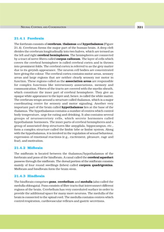 NEURAL CONTROL AND COORDINATION 321
21.4.1 Forebrain
The forebrain consists of cerebrum, thalamus and hypothalamus (Figure
21.4). Cerebrum forms the major part of the human brain. A deep cleft
divides the cerebrum longitudinally into two halves, which are termed as
the left and right cerebral hemispheres. The hemispheres are connected
by a tract of nerve fibres called corpus callosum. The layer of cells which
covers the cerebral hemisphere is called cerebral cortex and is thrown
into prominent folds. The cerebral cortex is referred to as the grey matter
due to its greyish appearance. The neuron cell bodies are concentrated
here giving the colour. The cerebral cortex contains motor areas, sensory
areas and large regions that are neither clearly sensory nor motor in
function. These regions called as the association areas are responsible
for complex functions like intersensory associations, memory and
communication. Fibres of the tracts are covered with the myelin sheath,
which constitute the inner part of cerebral hemisphere. They give an
opaque white appearance to the layer and, hence, is called the white matter.
The cerebrum wraps around a structure called thalamus, which is a major
coordinating centre for sensory and motor signaling. Another very
important part of the brain called hypothalamus lies at the base of the
thalamus. The hypothalamus contains a number of centres which control
body temperature, urge for eating and drinking. It also contains several
groups of neurosecretory cells, which secrete hormones called
hypothalamic hormones. The inner parts of cerebral hemispheres and a
group of associated deep structures like amygdala, hippocampus, etc.,
form a complex structure called the limbic lobe or limbic system. Along
with the hypothalamus, it is involved in the regulation of sexual behaviour,
expression of emotional reactions (e.g., excitement, pleasure, rage and
fear), and motivation.
21.4.2 Midbrain
The midbrain is located between the thalamus/hypothalamus of the
forebrain and pons of the hindbrain. A canal called the cerebral aqueduct
passess through the midbrain. The dorsal portion of the midbrain consists
mainly of four round swellings (lobes) called corpora quadrigemina.
Midbrain and hindbrain form the brain stem.
21.4.3 Hindbrain
The hindbrain comprises pons, cerebellum and medulla (also called the
medulla oblongata). Pons consists of fibre tracts that interconnect different
regions of the brain. Cerebellum has very convoluted surface in order to
provide the additional space for many more neurons. The medulla of the
brain is connected to the spinal cord. The medulla contains centres which
control respiration, cardiovascular reflexes and gastric secretions.
 