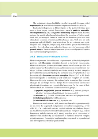 338 BIOLOGY
The juxtaglomerular cells of kidney produce a peptide hormone called
erythropoietin which stimulates erythropoiesis (formation of RBC).
Endocrine cells present in different parts of the gastro-intestinal tract
secrete four major peptide hormones, namely gastrin, secretin,
cholecystokinin (CCK) and gastric inhibitory peptide (GIP). Gastrin
acts on the gastric glands and stimulates the secretion of hydrochloric
acid and pepsinogen. Secretin acts on the exocrine pancreas and
stimulates secretion of water and bicarbonate ions. CCK acts on both
pancreas and gall bladder and stimulates the secretion of pancreatic
enzymes and bile juice, respectively. GIP inhibits gastric secretion and
motility. Several other non-endocrine tissues secrete hormones called
growth factors. These factors are essential for the normal growth of tissues
and their repairing/regeneration.
22.4 MECHANISM OF HORMONE ACTION
Hormones produce their effects on target tissues by binding to specific
proteins called hormone receptors located in the target tissues only.
Hormone receptors present on the cell membrane of the target cells are
called membrane-bound receptors and the receptors present inside the
target cell are called intracellular receptors, mostly nuclear receptors
(present in the nucleus). Binding of a hormone to its receptor leads to the
formation of a hormone-receptor complex (Figure 22.5 a, b). Each
receptor is specific to one hormone only and hence receptors are specific.
Hormone-Receptor complex formation leads to certain biochemical
changes in the target tissue. Target tissue metabolism and hence
physiological functions are regulated by hormones. On the basis of their
chemical nature, hormones can be divided into groups :
(i) peptide, polypeptide, protein hormones (e.g., insulin, glucagon,
pituitary hormones, hypothalamic hormones, etc.)
(ii) steroids (e.g., cortisol, testosterone, estradiol and progesterone)
(iii) iodothyronines (thyroid hormones)
(iv) amino-acid derivatives (e.g., epinephrine).
Hormones which interact with membrane-bound receptors normally
do not enter the target cell, but generate second messengers (e.g., cyclic
AMP, IP3
, Ca++
etc) which in turn regulate cellular metabolism (Figure
22.5a). Hormones which interact with intracellular receptors (e.g., steroid
hormones, iodothyronines, etc.) mostly regulate gene expression or
chromosome function by the interaction of hormone-receptor complex
with the genome. Cumulative biochemical actions result in physiological
and developmental effects (Figure 22.5b).
 