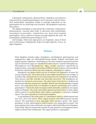PLANT KINGDOM 43
SUMMARY
Plant kingdom includes algae, bryophytes, pteridophytes, gymnosperms and
angiosperms. Algae are chlorophyll-bearing simple, thalloid, autotrophic and
largely aquatic organisms. Depending on the type of pigment possesed and the
type of stored food, algae are classfied into three classes, namely Chlorophyceae,
Phaeophyceae and Rhodophyceae. Algae usually reproduce vegetatively by
fragmentation, asexually by formation of different types of spores and sexually by
formation of gametes which may show isogamy, anisogamy or oogamy.
Bryophytes are plants which can live in soil but are dependent on water for
sexual reproduction. Their plant body is more differentiated than that of algae. It
is thallus-like and prostrate or erect and attached to the substratum by rhizoids.
They possess root-like, leaf-like and stem-like structures. The bryophytes are
divided into liverworts and mosses. The plant body of liverworts is thalloid and
dorsiventral whereas mosses have upright, slender axes bearing spirally arranged
leaves. The main plant body of a bryophyte is gamete-producing and is called a
gametophyte. It bears the male sex organs called antheridia and female sex organs
called archegonia. The male and female gametes produced fuse to form zygote
which produces a multicellular body called a sporophyte. It produces haploid
spores. The spores germinate to form gametophytes.
In pteridophytes the main plant is a sporophyte which is differentiated into
true root, stem and leaves. These organs possess well-differentiated vascular
tissues. The sporophytes bear sporangia which produce spores. The spores
germinate to form gametophytes which require cool, damp places to grow. The
gametophytes bear male and female sex organs called antheridia and archegonia,
respectively. Water is required for transfer of male gametes to archegonium where
zygote is formed after fertilisation. The zygote produces a sporophyte.
A dominant, independent, photosynthetic, thalloid or erect phase is
represented by a haploid gametophyte and it alternates with the short-
lived multicelluler sporophyte totally or partially dependent on the
gametophyte for its anchorage and nutrition. All bryophytes represent
this pattern.
The diploid sporophyte is represented by a dominant, independent,
photosynthetic, vascular plant body. It alternates with multicellular,
saprophytic/autotrophic, independent but short-lived haploid
gametophyte. Such a pattern is known as haplo-diplontic life cycle. All
pteridophytes exhibit this pattern (Figure 3.7 c).
Interestingly, while most algal genera are haplontic, some of them
such as Ectocarpus, Polysiphonia, kelps are haplo-diplontic. Fucus, an
alga is diplontic.
 