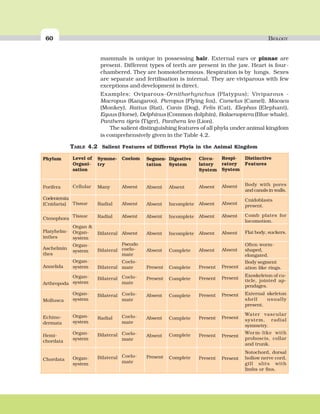 60 BIOLOGY
mammals is unique in possessing hair. External ears or pinnae are
present. Different types of teeth are present in the jaw. Heart is four-
chambered. They are homoiothermous. Respiration is by lungs. Sexes
are separate and fertilisation is internal. They are viviparous with few
exceptions and development is direct.
Examples: Oviparous-Ornithorhynchus (Platypus); Viviparous -
Macropus (Kangaroo), Pteropus (Flying fox), Camelus (Camel), Macaca
(Monkey), Rattus (Rat), Canis (Dog), Felis (Cat), Elephas (Elephant),
Equus (Horse), Delphinus (Common dolphin), Balaenoptera (Blue whale),
Panthera tigris (Tiger), Panthera leo (Lion).
The salient distinguishing features of all phyla under animal kingdom
is comprehensively given in the Table 4.2.
Level of
Organi-
sation
Cellular
Tissue
Tissue
Organ &
Organ-
system
Organ-
system
Organ-
system
Organ-
system
Organ-
system
Organ-
system
Organ-
system
Organ-
system
Symme-
try
Many
Radial
Radial
Bilateral
Bilateral
Bilateral
Bilateral
Bilateral
Radial
Bilateral
Bilateral
Coelom
Absent
Absent
Absent
Absent
Pseudo
coelo-
mate
Coelo-
mate
Coelo-
mate
Coelo-
mate
Coelo-
mate
Coelo-
mate
Coelo-
mate
Segmen-
tation
Absent
Absent
Absent
Absent
Absent
Present
Present
Absent
Absent
Absent
Present
Digestive
System
Absent
Incomplete
Incomplete
Incomplete
Complete
Complete
Complete
Complete
Complete
Complete
Complete
Circu-
latory
System
Absent
Absent
Absent
Absent
Absent
Present
Present
Present
Present
Present
Present
Respi-
ratory
System
Absent
Absent
Absent
Absent
Absent
Present
Present
Present
Present
Present
Present
Distinctive
Features
Body with pores
and canals in walls.
Cnidoblasts
present.
Comb plates for
locomotion.
Flat body, suckers.
Often worm-
shaped,
elongated.
Body segment
ation like rings.
Exoskeleton of cu-
ticle, jointed ap-
pendages.
External skeleton
shell usually
present.
Water vascular
system, radial
symmetry.
Worm-like with
proboscis, collar
and trunk.
Notochord, dorsal
hollow nerve cord,
gill slits with
limbs or fins.
Phylum
Porifera
Coelenterata
(Cnidaria)
Ctenophora
Platyhelm-
inthes
Aschelmin
thes
Annelida
Arthropoda
Mollusca
Echino-
dermata
Hemi-
chordata
Chordata
TABLE 4.2 Salient Features of Different Phyla in the Animal Kingdom
 
