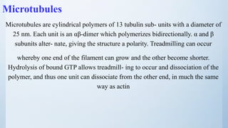Microtubules
Microtubules are cylindrical polymers of 13 tubulin sub- units with a diameter of
25 nm. Each unit is an αβ-dimer which polymerizes bidirectionally. α and β
subunits alter- nate, giving the structure a polarity. Treadmilling can occur
whereby one end of the filament can grow and the other become shorter.
Hydrolysis of bound GTP allows treadmill- ing to occur and dissociation of the
polymer, and thus one unit can dissociate from the other end, in much the same
way as actin
 