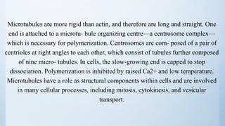 Microtubules are more rigid than actin, and therefore are long and straight. One
end is attached to a microtu- bule organizing centre—a centrosome complex—
which is necessary for polymerization. Centrosomes are com- posed of a pair of
centrioles at right angles to each other, which consist of tubules further composed
of nine micro- tubules. In cells, the slow-growing end is capped to stop
dissociation. Polymerization is inhibited by raised Ca2+ and low temperature.
Microtubules have a role as structural components within cells and are involved
in many cellular processes, including mitosis, cytokinesis, and vesicular
transport.
 