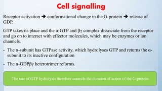 Cell signalling
Receptor activation  conformational change in the G-protein  release of
GDP.
GTP takes its place and the α-GTP and βγ complex dissociate from the receptor
and go on to interact with effector molecules, which may be enzymes or ion
channels.
- The α-subunit has GTPase activity, which hydrolyses GTP and returns the α-
subunit to its inactive configuration
- The α-GDPβγ heterotrimer reforms.
The rate of GTP hydrolysis therefore controls the duration of action of the G-protein.
 