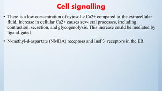 Cell signalling
• There is a low concentration of cytosolic Ca2+ compared to the extracellular
fluid. Increase in cellular Ca2+ causes sev- eral processes, including
contraction, secretion, and glycogenolysis. This increase could be mediated by
ligand-gated
• N-methyl-d-aspartate (NMDA) receptors and InsP3 receptors in the ER
 