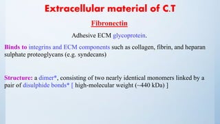 Extracellular material of C.T
Fibronectin
Adhesive ECM glycoprotein.
Binds to integrins and ECM components such as collagen, fibrin, and heparan
sulphate proteoglycans (e.g. syndecans)
Structure: a dimer*, consisting of two nearly identical monomers linked by a
pair of disulphide bonds* [ high-molecular weight (~440 kDa) ]
 