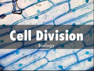 Cell Division (Biology Senior High School)