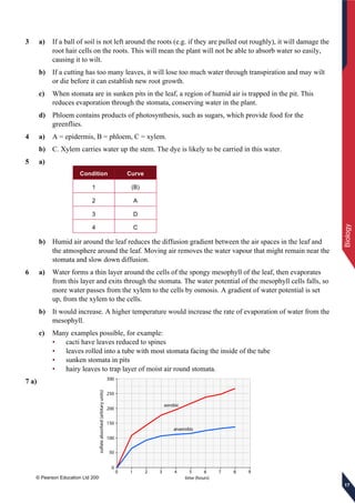 © Pearson Education Ltd 2009
Biology
171717
3 a) If a ball of soil is not left around the roots (e.g. if they are pulled out roughly), it will damage the
root hair cells on the roots. This will mean the plant will not be able to absorb water so easily,
causing it to wilt.
b) If a cutting has too many leaves, it will lose too much water through transpiration and may wilt
or die before it can establish new root growth.
c) When stomata are in sunken pits in the leaf, a region of humid air is trapped in the pit. This
reduces evaporation through the stomata, conserving water in the plant.
d) Phloem contains products of photosynthesis, such as sugars, which provide food for the
greenflies.
4 a) A = epidermis, B = phloem, C = xylem.
b) C. Xylem carries water up the stem. The dye is likely to be carried in this water.
5 a)
Condition Curve
1 (B)
2 A
3 D
4 C
b) Humid air around the leaf reduces the diffusion gradient between the air spaces in the leaf and
the atmosphere around the leaf. Moving air removes the water vapour that might remain near the
stomata and slow down diffusion.
6 a) Water forms a thin layer around the cells of the spongy mesophyll of the leaf, then evaporates
from this layer and exits through the stomata. The water potential of the mesophyll cells falls, so
more water passes from the xylem to the cells by osmosis. A gradient of water potential is set
up, from the xylem to the cells.
b) It would increase. A higher temperature would increase the rate of evaporation of water from the
mesophyll.
c) Many examples possible, for example:
• cacti have leaves reduced to spines
• leaves rolled into a tube with most stomata facing the inside of the tube
• sunken stomata in pits
• hairy leaves to trap layer of moist air round stomata.
7 a)
 
