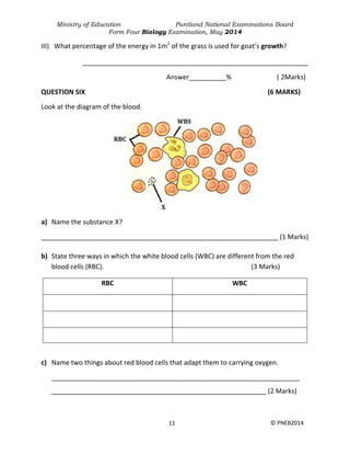 Ministry of Education Puntland National Examinations Board
Form Four Biology Examination, May 2014
11 © PNEB2014
III) What percentage of the energy in 1m2
of the grass is used for goat’s growth?
_____________________________________________________________
Answer__________% ( 2Marks)
QUESTION SIX (6 MARKS)
Look at the diagram of the blood.
a) Name the substance X?
________________________________________________________________ (1 Marks)
b) State three ways in which the white blood cells (WBC) are different from the red
blood cells (RBC). (3 Marks)
RBC WBC
c) Name two things about red blood cells that adapt them to carrying oxygen.
___________________________________________________________________
__________________________________________________________ (2 Marks)
 