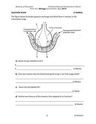 Ministry of Education Puntland National Examinations Board
Form Four Biology Examination, May 2014
12 © PNEB2014
QUESTION SEVEN (7 MARKS)
The figure below illustrates gaseous exchange and blood flow in alveolus in the
mammalian lungs.
a) Name the gas labeled X and Y.
X ___________________________________________________________________
Y ______________________________________________________ (2 Marks)
b) Give two reasons why the blood leaving the lungs is not fully oxygenated?
___________________________________________________________________
________________________________________________________(2 Marks)
c) Name the cell labeled W?
________________________________________________________(1 Mark)
d) Outline two features of the alveolus that adapted to its function?
___________________________________________________________________
_________________________________________________________ (2 Marks)
 