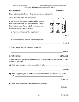 Ministry of Education Puntland National Examinations Board
Form Four Biology Examination, May 2014
13 © PNEB2014
QUESTION EIGHT (3 MARKS)
Dilute iodine solution forms a deep blue compound with starch.
Three test tubes were set up as shown:
A few drops of iodine solution were added to each
tube. after 10 minutes the content of tube A were
become deep blue, that of tube B were colourless ,
while that of tube C were pale red
a) What was the aim of the experiment?
___________________________________________________________ (1 Mark)
b) Which test tube contains starch compound?
___________________________________________________________ (1 Mark)
c) Give a reason why you choose in answer (b).______________________________
______________________________________________________________(1 Mark)
QUESTION NINE (8 MARKS)
A man with blood group B married two wives. 1st
wife was blood group A and 2nd
wife
was blood group AB.
a) What is the genotype of the man and his 1st
wife?_____________________________
_____________________________________________________________(2 Marks)
b) What are phenotypes of the four possible children between the man and his 1st
wife?_________________________________________________________
______________________________________________________________(3 Marks)
c) What is the phenotypic ratio of these four children?
_____________________________________________________________ (3 Marks)
 