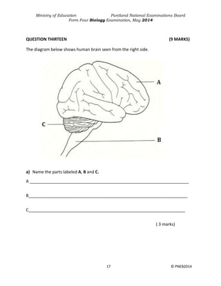 Ministry of Education Puntland National Examinations Board
Form Four Biology Examination, May 2014
17 © PNEB2014
QUESTION THIRTEEN (9 MARKS)
The diagram below shows human brain seen from the right side.
a) Name the parts labeled A, B and C.
A ____________________________________________________________________
B____________________________________________________________________
C___________________________________________________________________
( 3 marks)
 