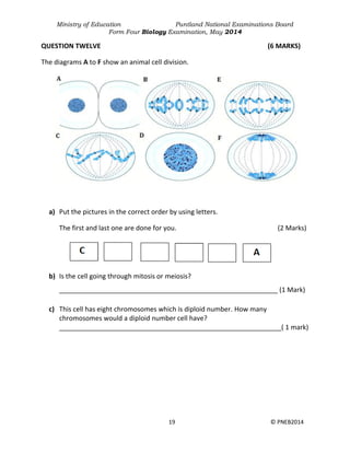 Ministry of Education Puntland National Examinations Board
Form Four Biology Examination, May 2014
19 © PNEB2014
QUESTION TWELVE (6 MARKS)
The diagrams A to F show an animal cell division.
a) Put the pictures in the correct order by using letters.
The first and last one are done for you. (2 Marks)
b) Is the cell going through mitosis or meiosis?
___________________________________________________________ (1 Mark)
c) This cell has eight chromosomes which is diploid number. How many
chromosomes would a diploid number cell have?
____________________________________________________________( 1 mark)
 