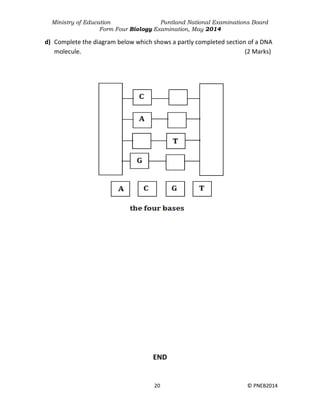 Ministry of Education Puntland National Examinations Board
Form Four Biology Examination, May 2014
20 © PNEB2014
d) Complete the diagram below which shows a partly completed section of a DNA
molecule. (2 Marks)
END
 