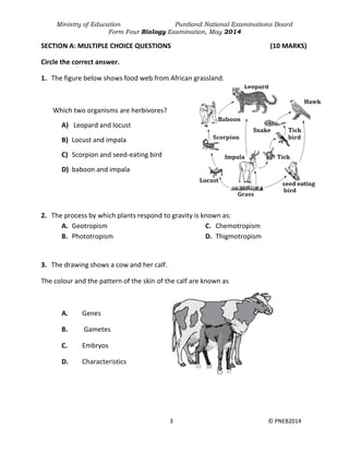 Ministry of Education Puntland National Examinations Board
Form Four Biology Examination, May 2014
3 © PNEB2014
SECTION A: MULTIPLE CHOICE QUESTIONS (10 MARKS)
Circle the correct answer.
1. The figure below shows food web from African grassland.
Which two organisms are herbivores?
A) Leopard and locust
B) Locust and impala
C) Scorpion and seed-eating bird
D) baboon and impala
2. The process by which plants respond to gravity is known as:
A. Geotropism
B. Phototropism
C. Chemotropism
D. Thigmotropism
3. The drawing shows a cow and her calf.
The colour and the pattern of the skin of the calf are known as
A. Genes
B. Gametes
C. Embryos
D. Characteristics
 