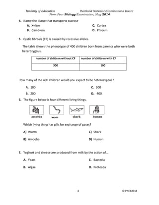 Ministry of Education Puntland National Examinations Board
Form Four Biology Examination, May 2014
4 © PNEB2014
4. Name the tissue that transports sucrose
A. Xylem
B. Cambium
C. Cortex
D. Phloem
5. Cystic fibrosis (CF) is caused by recessive alleles.
The table shows the phenotype of 400 children born from parents who were both
heterozygous.
number of children without CF number of children with CF
300 100
How many of the 400 children would you expect to be heterozygous?
A. 100
B. 200
C. 300
D. 400
6. The figure below is four different living things.
Which living thing has gills for exchange of gases?
A) Worm
B) Amoeba
C) Shark
D) Human
7. Yoghurt and cheese are produced from milk by the action of…
A. Yeast
B. Algae
C. Bacteria
D. Protozoa
 