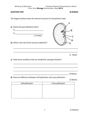 Ministry of Education Puntland National Examinations Board
Form Four Biology Examination, May 2014
7 © PNEB2014
QUESTION TWO (8 MARKS)
The diagram below shows the internal structure of a broad bean seed.
a) Name the parts labeled A and D.
A______________________________
D._____________________________
( 2 marks)
b) What is the role of the structure labeled X?
___________________________________________________________________
___________________________________________________________________
(1 Mark)
c) State three conditions that are needed for seed germination?
___________________________________________________________________
___________________________________________________________________
___________________________________________________________________
_________________________________________________________ (3 Marks)
d) Give one difference between self-pollination and cross pollination.
(2 Marks)
Self-pollination Cross-pollination
 