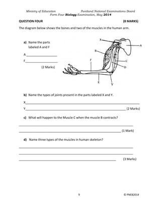 Ministry of Education Puntland National Examinations Board
Form Four Biology Examination, May 2014
9 © PNEB2014
QUESTION FOUR (8 MARKS)
The diagram below shows the bones and two of the muscles in the human arm.
a) Name the parts
labeled A and F
A __________________
F___________________
(2 Marks)
b) Name the types of joints present in the parts labeled X and Y.
X___________________________________________________________________
Y___________________________________________________________ (2 Marks)
c) What will happen to the Muscle C when the muscle B contracts?
___________________________________________________________________
____________________________________________________________ (1 Mark)
d) Name three types of the muscles in human skeleton?
___________________________________________________________________
___________________________________________________________________
_________________________________________________________ (3 Marks)
 