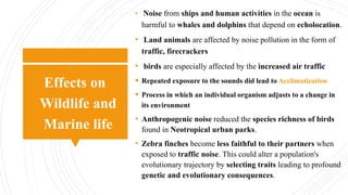 Less Population Less Noise Noise Pollution | PPTX