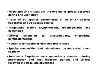 Flagellates and ciliates are the two major groups observed
during one year study
 Total of 52 species encountered of which 17 species
flagellates and 35 species ciliates
 Flagellates mainly cryptomonads, dinoflagellates and
euglenoids
Ciliates belonging to prostomatians, oligotrichs,
gymnostomatians
Numerically flagellates outnumbered ciliates
Species composition and abundance do not varied much
spatially.
Seasonally flagellates were numerically abundant during
pre-monsoon and post monsoon periods and ciliates
followed the flagellate abundance
 