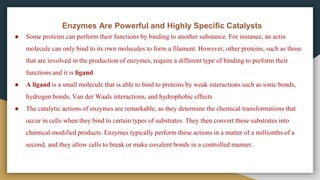 Enzymes Are Powerful and Highly Specific Catalysts
● Some proteins can perform their functions by binding to another substance. For instance, an actin
molecule can only bind to its own molecules to form a filament. However, other proteins, such as those
that are involved in the production of enzymes, require a different type of binding to perform their
functions and it is ligand.
● A ligand is a small molecule that is able to bind to proteins by weak interactions such as ionic bonds,
hydrogen bonds, Van der Waals interactions, and hydrophobic effects
● The catalytic actions of enzymes are remarkable, as they determine the chemical transformations that
occur in cells when they bind to certain types of substrates. They then convert these substrates into
chemical-modified products. Enzymes typically perform these actions in a matter of a millionths of a
second, and they allow cells to break or make covalent bonds in a controlled manner..
 