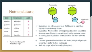 Nomenclature
● Nucleoside is a nitrogenous base that bound to a pentose
sugar (ribose or deoxyribose)
● Nucleotide :Nucleoside is a nitrogenous base that bound to a
pentose sugar (ribose or deoxyribose) and phosphate group
● In naming both nucleoside and nucleotide we start with the
sugar
● Then we go to the nucleoside it self and if phosphate group is
present we go for it after nucleoside
● Basically (sugar)+(nucleoside)+(phosphate)
● Thymine bond only with
deoxyribose sugar
 