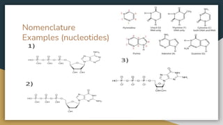 Nomenclature
Examples (nucleotides)
 