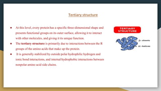 Tertiary structure
● At this level, every protein has a specific three-dimensional shape and
presents functional groups on its outer surface, allowing it to interact
with other molecules, and giving it its unique function.
● The tertiary structure is primarily due to interactions between the R
groups of the amino acids that make up the protein.
● It is generally stabilized by outside polar hydrophilic hydrogen and
ionic bond interactions, and internal hydrophobic interactions between
nonpolar amino acid side chains.
 
