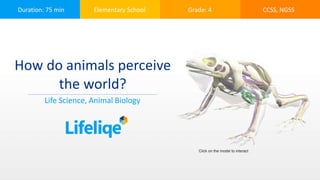 Duration: 75 min Elementary School Grade: 4 CCSS, NGSS
How do animals perceive
the world?
Life Science, Animal Biology
Click on the model to interact
 