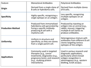 Feature Monoclonal Antibodies Polyclonal Antibodies
Origin
Derived from a single clone of
B cells or hybridoma cells.
Derived from multiple clones
of B cells.
Specificity
Highly specific, recognizing a
single epitope on an antigen.
Less specific, recognizing
multiple epitopes on an
antigen.
Production Method
Produced from immortalized
hybridoma cells generated by
fusing a specific antibody-
producing B cell with a
myeloma cell.
Produced by injecting an
antigen into an animal (e.g.,
rabbit, mouse), triggering
multiple B cell clones to
produce antibodies.
Uniformity
Uniform in structure and
specificity, as they are clones
from a single parent cell.
Heterogeneous mixture with
antibodies from different B cell
clones targeting various
epitopes of the antigen.
Applications
Commonly used in targeted
therapies (e.g., cancer
treatment), diagnostics (e.g.,
pregnancy tests), and research
(e.g., studying protein
interactions).
Used in various research and
diagnostic applications,
particularly where broad
antigen recognition is
advantageous (e.g., western
blotting, ELISA assays).
 