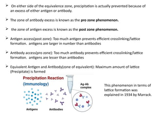  On either side of the equivalence zone, precipitation is actually prevented because of
an excess of either antigen or antibody.
 The zone of antibody excess is known as the pro zone phenomenon.
 the zone of antigen excess is known as the post zone phenomenon.
 Antigen access(post zone): Too much antigen prevents efficient crosslinking/lattice
formation. antigens are larger in number than antibodies
 Antibody access(pro zone): Too much antibody prevents efficient crosslinking/lattice
formation. antigens are lesser than antibodies
 Equivalent Antigen and Antibody(zone of equivalent): Maximum amount of lattice
(Precipitate) is formed
This phenomenon in terms of
lattice formation was
explained in 1934 by Marrack.
 