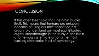 CONCLUSION
It has often been said that the brain studies
itself. This means that humans are uniquely
capable of using our most sophisticated
organ to understand our most sophisticated
organ. Breakthroughs in the study of the brain
and nervous system are among the most
exciting discoveries in all of psychology.
 