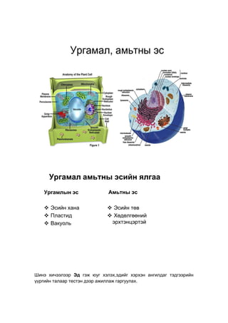 Biology 7 | PDF