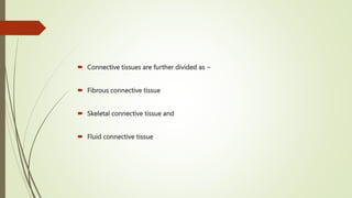  Connective tissues are further divided as −
 Fibrous connective tissue
 Skeletal connective tissue and
 Fluid connective tissue
 