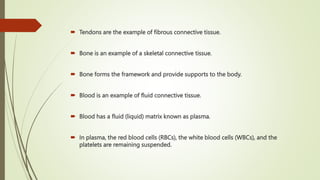  Tendons are the example of fibrous connective tissue.
 Bone is an example of a skeletal connective tissue.
 Bone forms the framework and provide supports to the body.
 Blood is an example of fluid connective tissue.
 Blood has a fluid (liquid) matrix known as plasma.
 In plasma, the red blood cells (RBCs), the white blood cells (WBCs), and the
platelets are remaining suspended.
 
