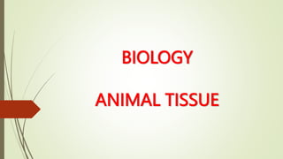 BIOLOGY
ANIMAL TISSUE
 