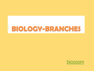 BIOLOGY-BRANCHES



            biozoom
 