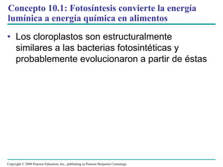Concepto 10.1: Fotosíntesis convierte la energía
lumínica a energía química en alimentos

• Los cloroplastos son estructuralmente
  similares a las bacterias fotosintéticas y
  probablemente evolucionaron a partir de éstas




Copyright © 2008 Pearson Education, Inc., publishing as Pearson Benjamin Cummings
 