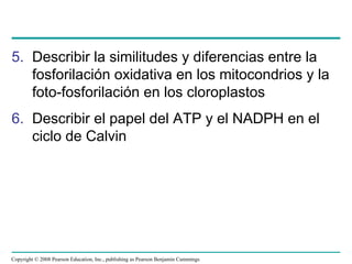 5. Describir la similitudes y diferencias entre la
   fosforilación oxidativa en los mitocondrios y la
   foto-fosforilación en los cloroplastos
6. Describir el papel del ATP y el NADPH en el
   ciclo de Calvin




Copyright © 2008 Pearson Education, Inc., publishing as Pearson Benjamin Cummings
 