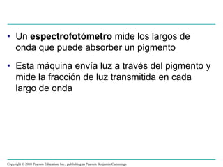 • Un espectrofotómetro mide los largos de
  onda que puede absorber un pigmento
• Esta máquina envía luz a través del pigmento y
  mide la fracción de luz transmitida en cada
  largo de onda




Copyright © 2008 Pearson Education, Inc., publishing as Pearson Benjamin Cummings
 