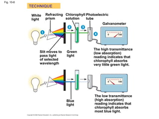 Fig. 10-8
            TECHNIQUE

            White       Refracting Chlorophyll Photoelectric
            light       prism      solution    tube
                                                        Galvanometer
                                    2       3
                    1                             4



                                                  The high transmittance
                Slit moves to      Green          (low absorption)
                pass light         light          reading indicates that
                of selected                       chlorophyll absorbs
                wavelength                        very little green light.




                                                  The low transmittance
                                   Blue           (high absorption)
                                   light          reading indicates that
                                                  chlorophyll absorbs
                                                  most blue light.
 